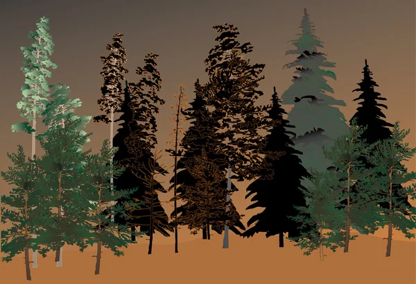 Coucher de soleil dans la forêt sombre — Image vectorielle