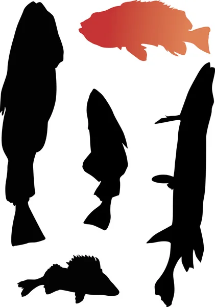 Fünf Fischsilhouetten — Stockvektor