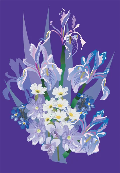 Iris bouquet on blue background — Stock Vector