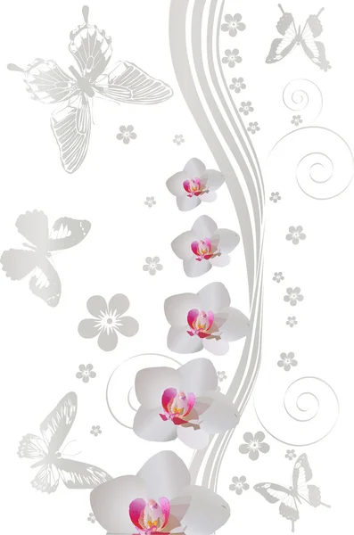 Světlo pět motýlů a orchidejí na bílém pozadí — Stockový vektor