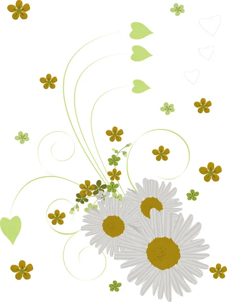 Weiße Kamille Blumenstrauß — Stockvektor