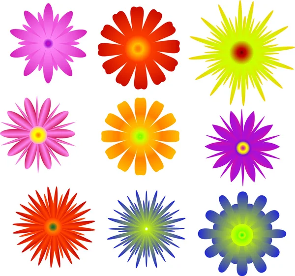 Dokuz parlak renkli çiçek koleksiyonu — Stok Vektör