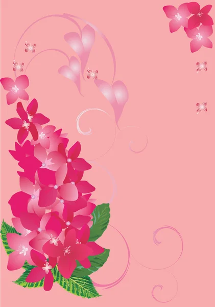 Rosa y rojo decoración de flores — Vector de stock