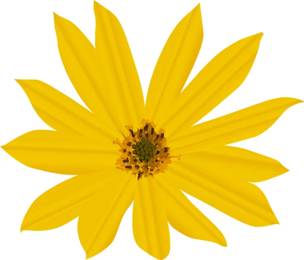 1 つの黄色い花イラスト — ストックベクタ