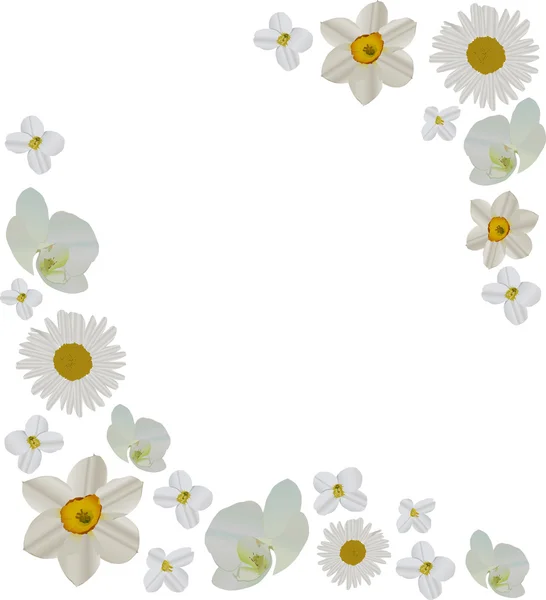 Kwiaty białe ramki — Wektor stockowy