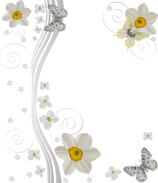 Mariposas ligeras y narcisos sobre blanco — Archivo Imágenes Vectoriales