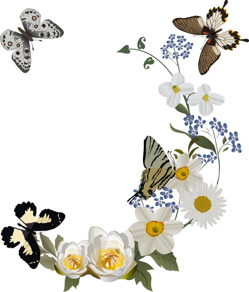 White flowers curl with butterflies — Stock Vector