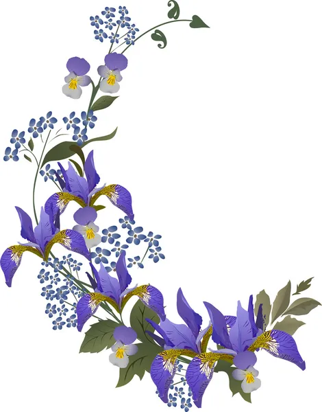 Blue iris květiny lokny — Stockový vektor
