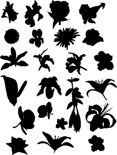 Twenty three flower silhouettes — Stock Vector