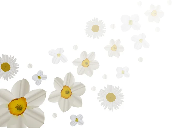 白い花の背景イラスト — ストックベクタ