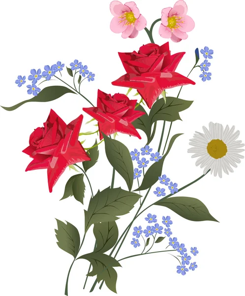 Trois roses et camomille — Image vectorielle