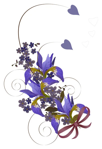 Iris ile çiçek bukleler — Stok Vektör
