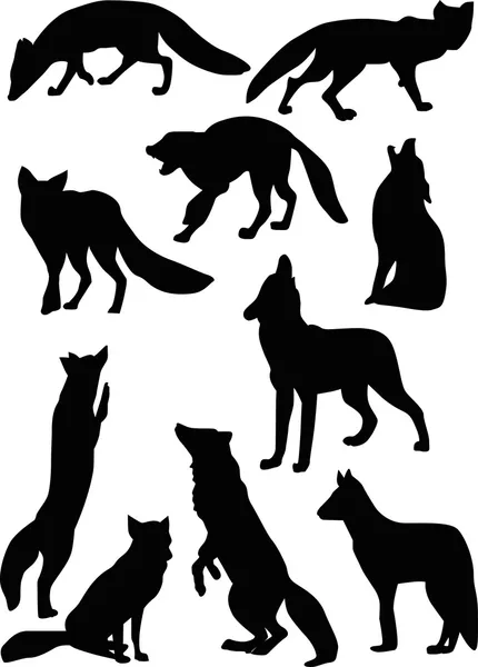 Fox and wolf silhouettes — Stock Vector