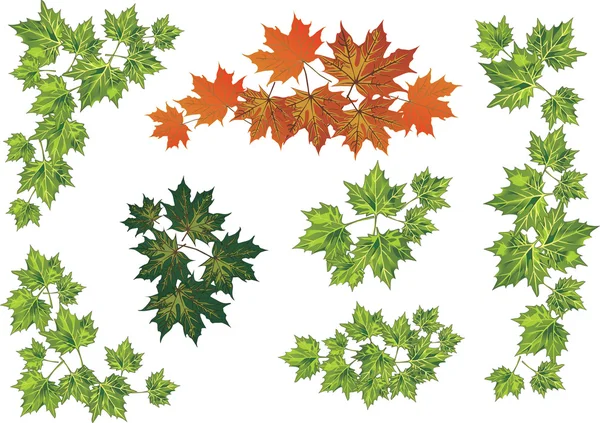 Green and red foliage collection — Stock Vector