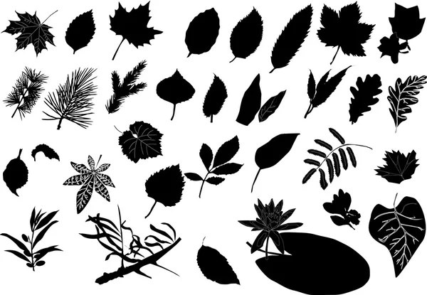 Diversi alberi foglie silhouette — Vettoriale Stock