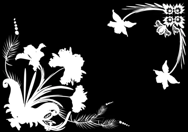 Marco blanco de la orquídea en negro — Archivo Imágenes Vectoriales