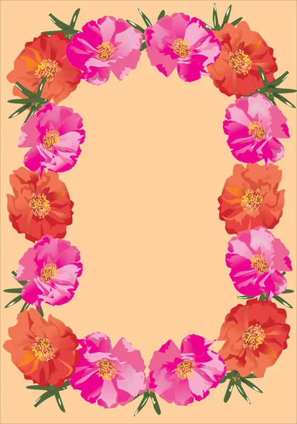 Cadre brier rose et orange — Image vectorielle