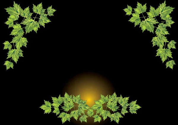 녹색 나무 단풍 프레임 — 스톡 벡터