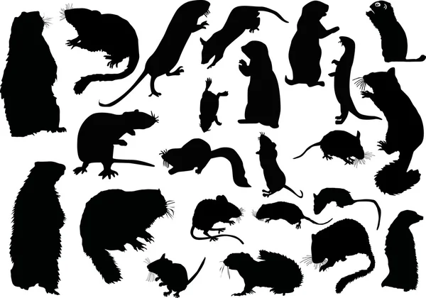 Twanty one rodent silhouettes — Stock Vector