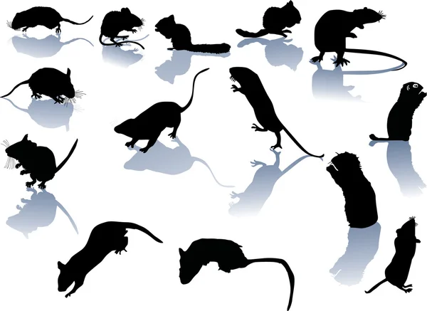 Fourteen rodent silhouettes — Stock Vector