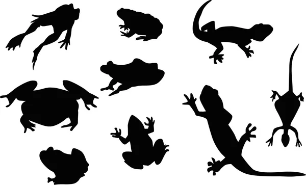 Рептилій і жаб'ячих силуетів — стоковий вектор
