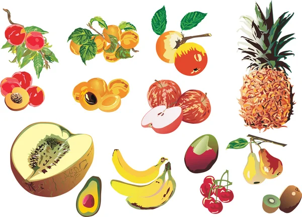 Ilustración de frutas maduras — Vector de stock