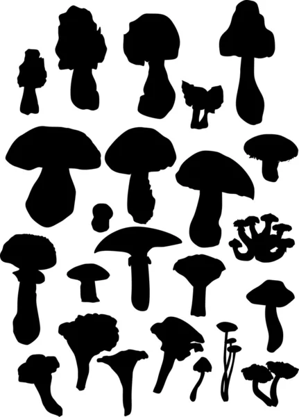 Silhouette isolate di funghi — Vettoriale Stock