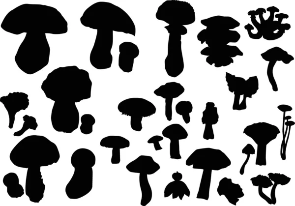 Fungus silhouettes set — Stock Vector