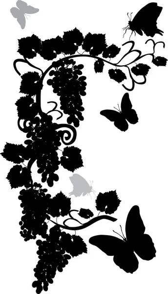 Метелики, виноград — стоковий вектор