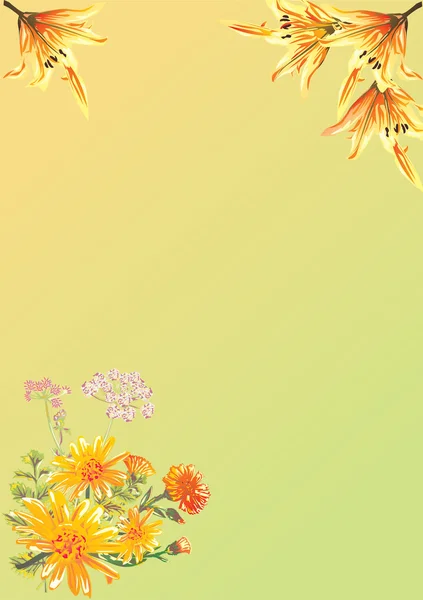 Dekoration mit gelben Blumen in den Ecken — Stockvektor