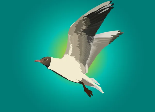 Gull and blue sky illustration — Stock Vector