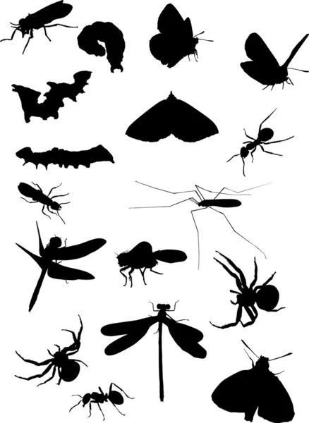 Conjunto de dezessete insetos — Vetor de Stock