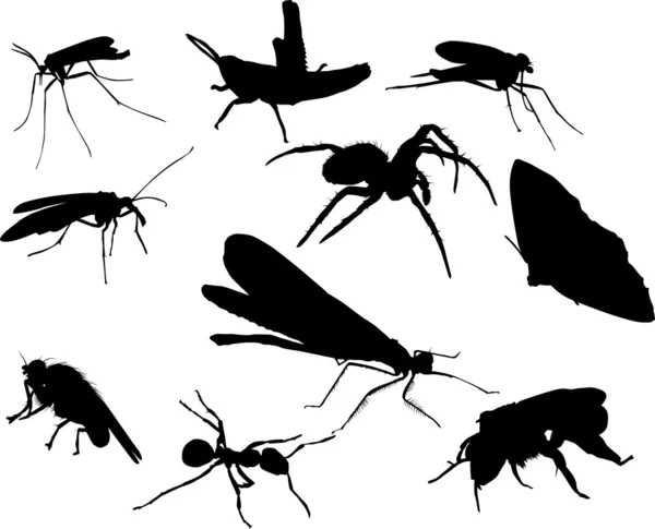 Ten insect silhouettes — Stock Vector