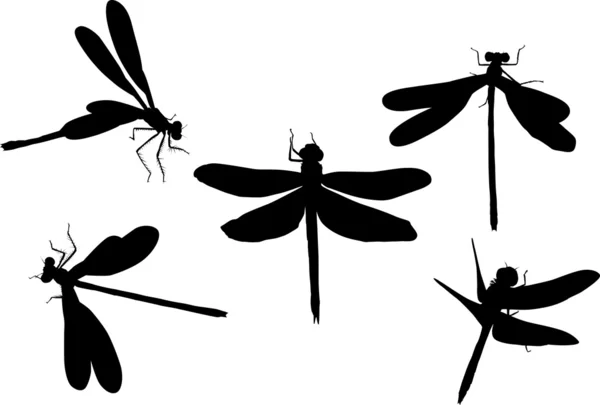 Cinco libélulas negras — Vetor de Stock