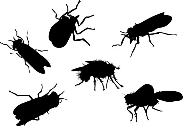 Sex svarta flugor — Stock vektor