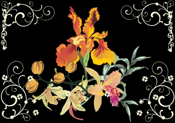 Orchid and iris illustation — Stock Vector