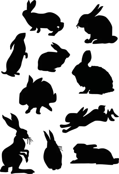 Ensemble silhouette de lapin — Image vectorielle