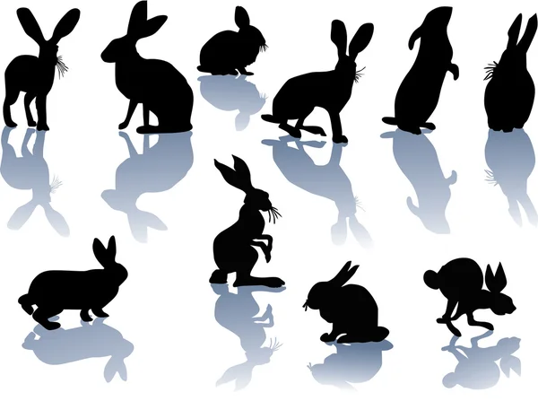 Rabbit silhouettes with reflections — Stock Vector