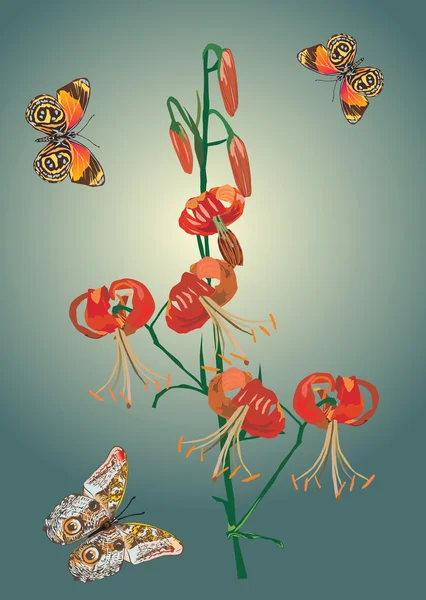 红色的百合和蝴蝶图 — 图库矢量图片