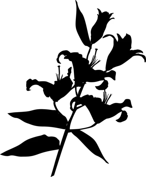 Lily flower siluett — Stock vektor