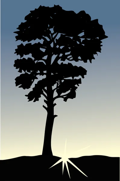Árvore única ao pôr do sol — Vetor de Stock