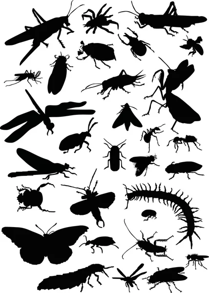 Different insects set — Stock Vector