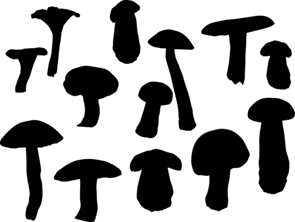 Edible mushrooms silhouettes — Stock Vector