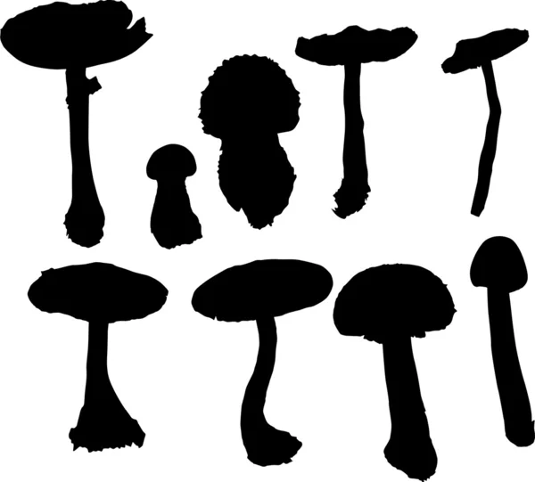Toadstool silhouette collection — Stock Vector