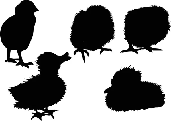 Kycklingar och duckings silhuetter — Stock vektor