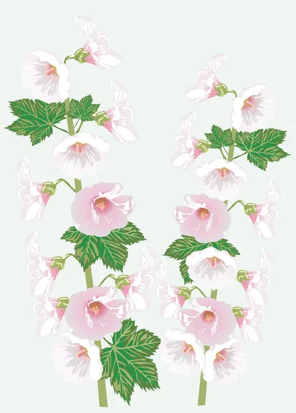 Two pink campanula branches — Stock Vector
