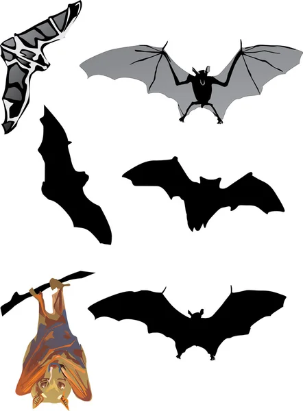 Seis morcegos em branco — Vetor de Stock