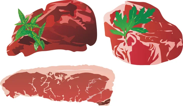 Rood vlees — Stockvector