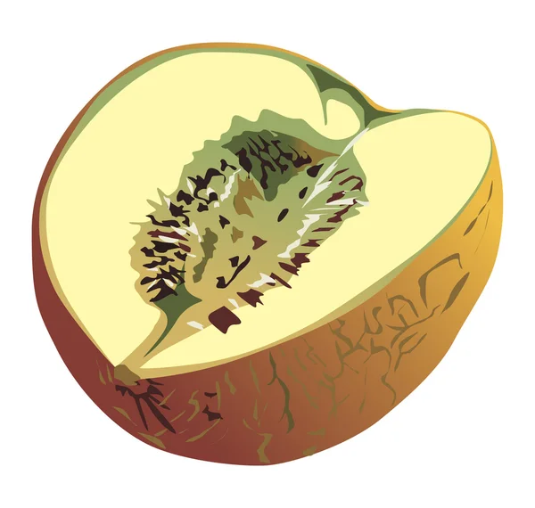 Melone giallo — Vettoriale Stock