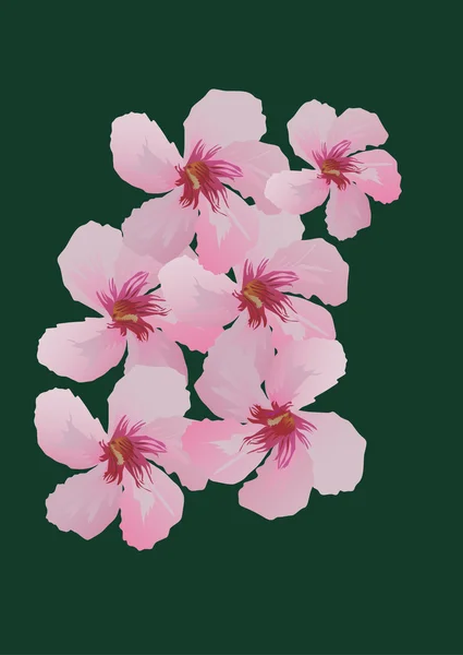 Hat rózsaszín virágok, zöld — Stock Vector